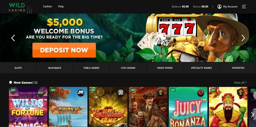 Wild Casino Website Screenshot