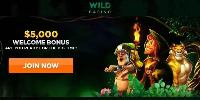 Wild.io casino website screenshot